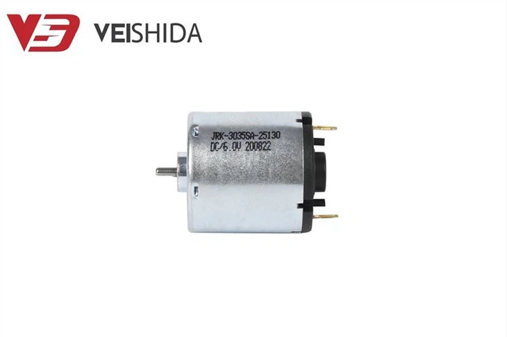 Ball Bearing Carbon Brush Motor