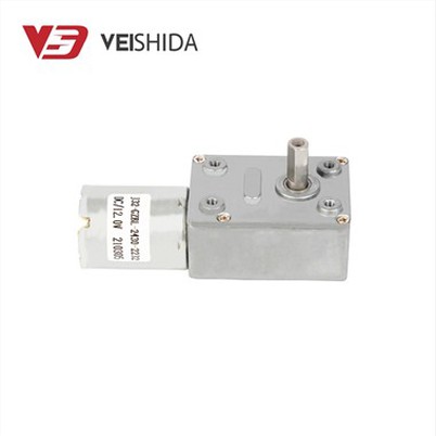 2430 ब्रशलेस डीसी वर्म गियर मोटर