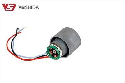 हेयर ड्रायर ब्रशलेस डीसी मोटर चलाना